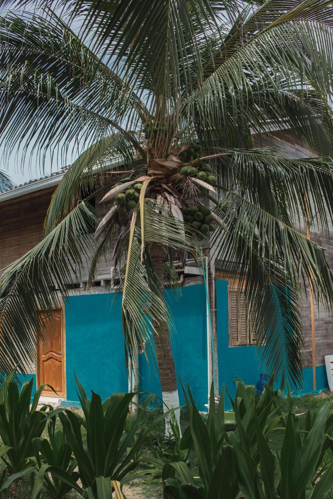 Isla Grande Eco-Hostal Exterior photo